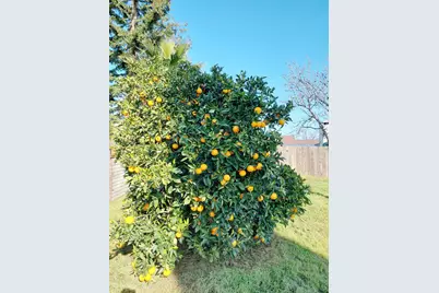 5 Bolinas Court, Sacramento, CA 95823 - Photo 29