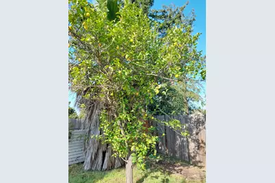 5 Bolinas Court, Sacramento, CA 95823 - Photo 31