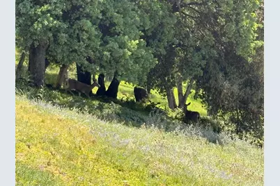 8641 Riverwood Drive, Placerville, CA 95667 - Photo 95