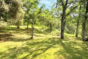 8641 Riverwood Dr, Placerville, CA 95667 - Photo 69
