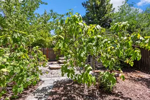 11 Loganberry Ct, Sacramento, CA 95835 - Photo 65