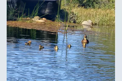 10428 Riffle Box Road, Rough and Ready, CA 95975 - Photo 81