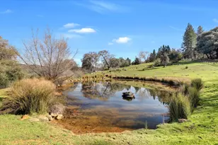 10428 Riffle Box Rd, Rough and Ready, CA 95975 - Photo 3