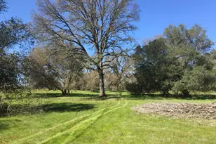 4 Diablo Cir, Browns Valley, CA 95918 - Photo 1