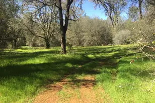 3 Diablo Cir, Browns Valley, CA 95918 - Photo 1