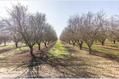 18041 Seidner Avenue, Escalon, CA 95320 - Photo 49