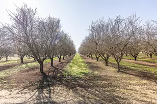 18041 Seidner Ave, Escalon, CA 95320 - Photo 49