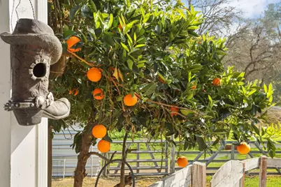 6310 Abouaf Court, Valley Springs, CA 95252 - Photo 43