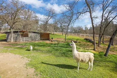 6310 Abouaf Court, Valley Springs, CA 95252 - Photo 49