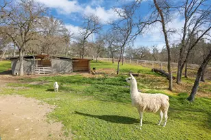 6310 Abouaf Ct, Valley Springs, CA 95252 - Photo 49