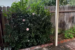 3350 Spring Garden Dr, Turlock, CA 95382 - Photo 21