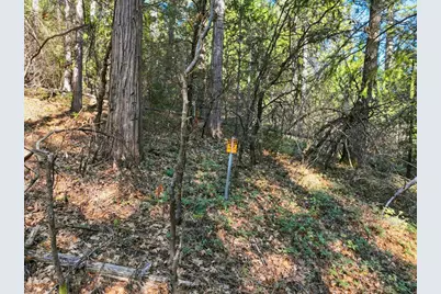 14442 Pello Court, Nevada City, CA 95959 - Photo 23