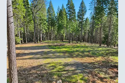 14442 Pello Court, Nevada City, CA 95959 - Photo 37