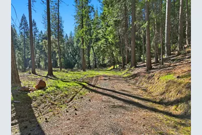 14442 Pello Court, Nevada City, CA 95959 - Photo 39