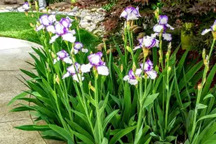 2805 Granite Park Ln, Elk Grove, CA 95758 - Photo 35