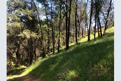 21602 Oxnard Court, Grass Valley, CA 95949 - Photo 9