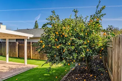 152 Springcreek Dr, Ione, CA 95640 - Photo 29