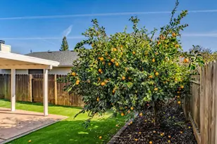 152 Springcreek Dr, Ione, CA 95640 - Photo 29