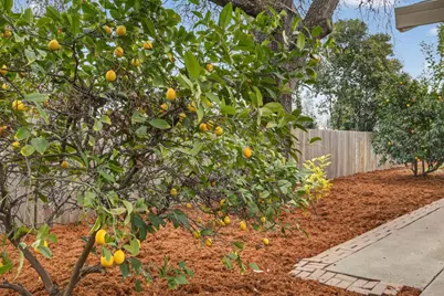 8129 Craft Court, Orangevale, CA 95662 - Photo 41