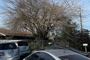 7205 Chesney Way, Rio Linda, CA 95673 - Photo 39