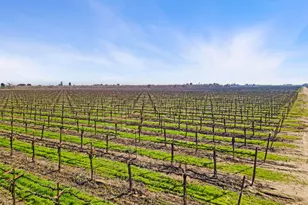 10400 E Harney Ln, Lodi, CA 95240 - Photo 1