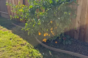 4909 Hidden Meadow Way, Antelope, CA 95843 - Photo 31