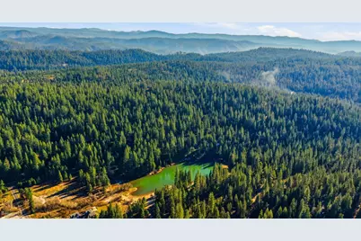 459 Dean Way, Arnold, CA 95223 - Photo 67