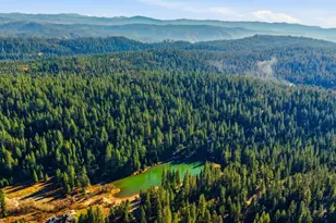 459 Dean Way, Arnold, CA 95223 - Photo 67