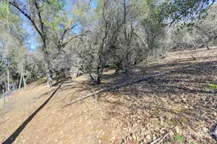 6421 Garden Valley Rd, Garden Valley, CA 95633 - Photo 59