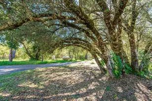 13807 Bluebird Way, Oregon House, CA 95962 - Photo 91