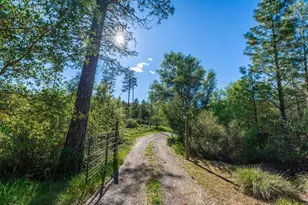 13807 Bluebird Way, Oregon House, CA 95962 - Photo 95