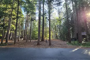 12577 Artic Close, Nevada City, CA 95959 - Photo 1