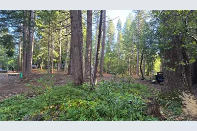 12577 Artic Close, Nevada City, CA 95959 - Photo 7