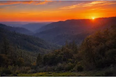 19751 Shirley Lane, Foresthill, CA 95631 - Photo 1