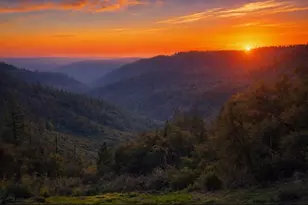 19751 Shirley Ln, Foresthill, CA 95631 - Photo 1