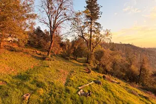 19751 Shirley Ln, Foresthill, CA 95631 - Photo 29