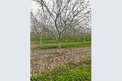 28201 S Banta Road, Tracy, CA 95304 - Photo 5