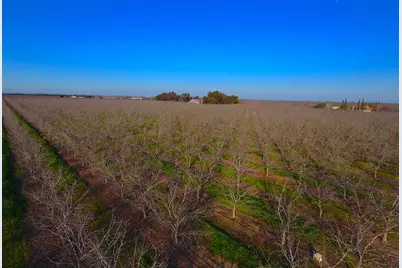 28201 S Banta Road, Tracy, CA 95304 - Photo 7