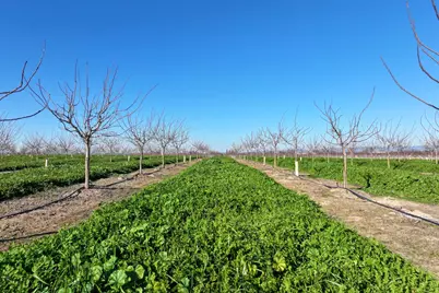 15743 N Allen Road, Snelling, CA 95369 - Photo 5