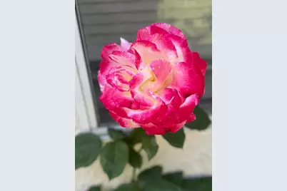 3769 Bridlewood Circle, Stockton, CA 95219 - Photo 31