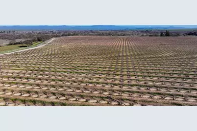 15116 N Allen Road, Snelling, CA 95369 - Photo 5