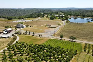 1095 Cold Springs Rd, Placerville, CA 95667 - Photo 49