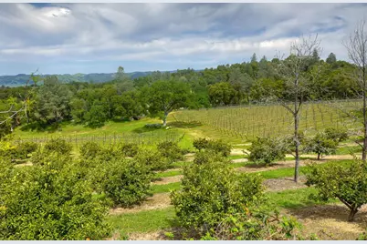 1095 Cold Springs Road, Placerville, CA 95667 - Photo 9