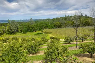 1095 Cold Springs Rd, Placerville, CA 95667 - Photo 9