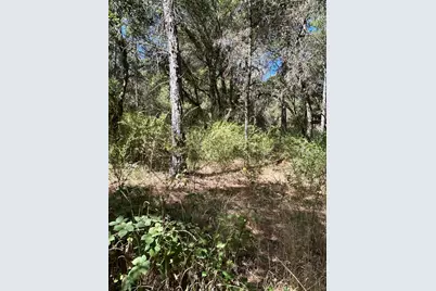 9153 Manzanita Lane, Oregon House, CA 95962 - Photo 35