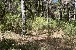 9153 Manzanita Ln, Oregon House, CA 95962 - Photo 35