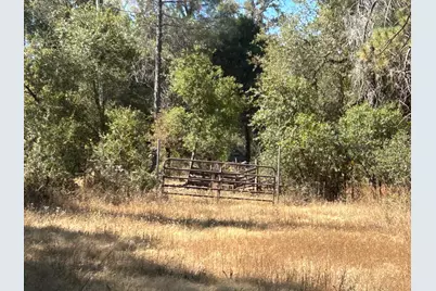 9153 Manzanita Lane, Oregon House, CA 95962 - Photo 57