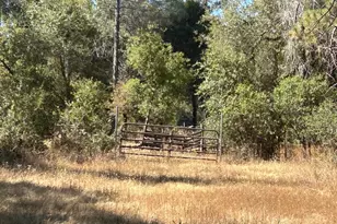 9153 Manzanita Ln, Oregon House, CA 95962 - Photo 57