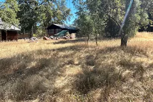 9153 Manzanita Ln, Oregon House, CA 95962 - Photo 59