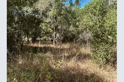 9153 Manzanita Lane, Oregon House, CA 95962 - Photo 61